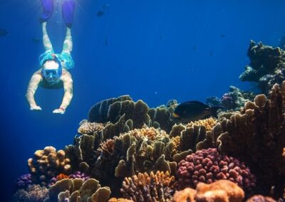 snorkeling amalfi coast